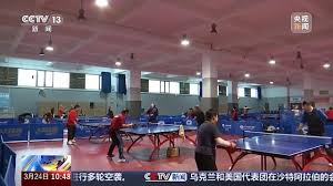 BB贝博艾弗森官网 国标乒乓球台重量
